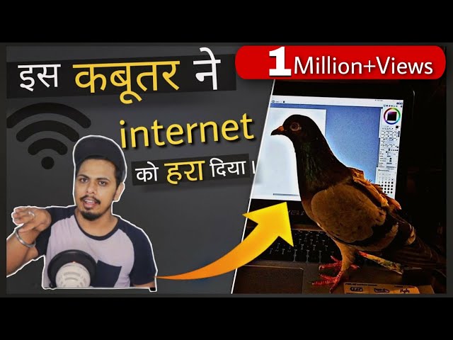 बेचारा INTERNET || internet speed vs pigeon || KBH EP 22