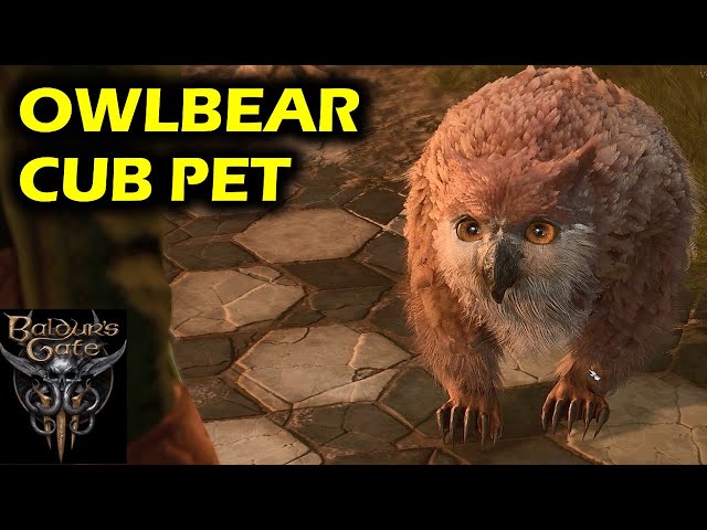 Owlbear Cub Pet (Kill vs Let it Live) | Baldur's Gate 3