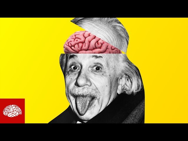 Albert Einsteins Gehirn geklaut und zerhackt?