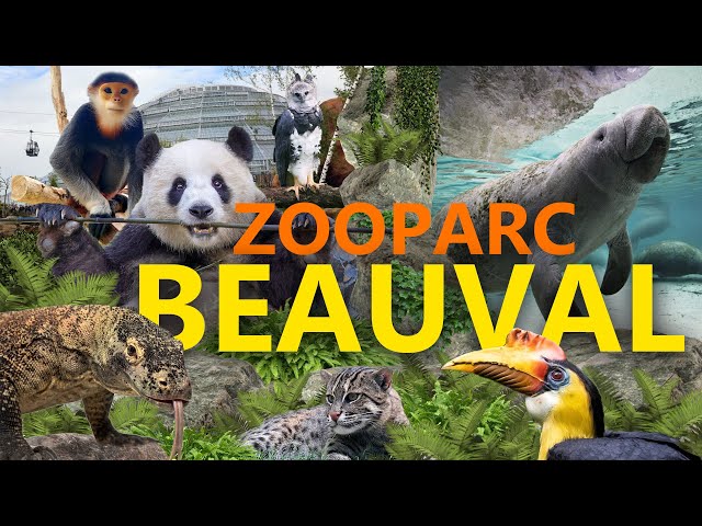 ZooParc Beauval - die Pflichtadresse in Frankreich? | Zoo-Eindruck