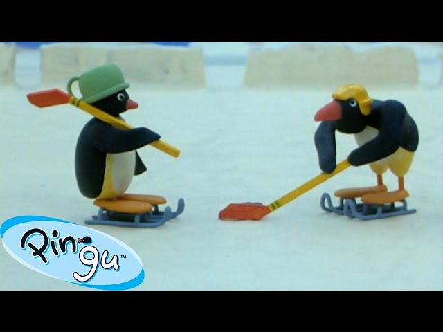 Pingu's Favorite Sports 🐧 | Pingu - Official Channel | Cartoons For Kids