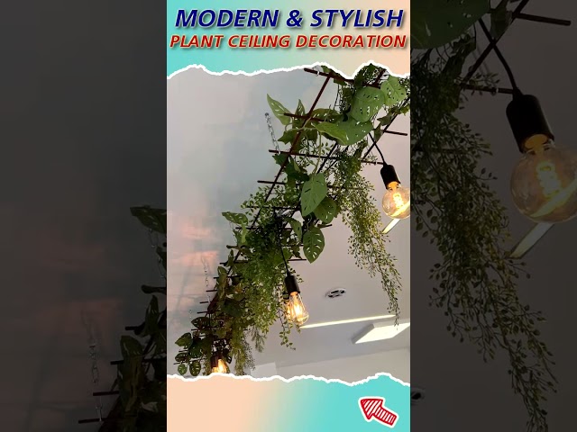 MODERN & STYLISH! Plant Ceiling & Hanging Plant Decoration Ideas 2023