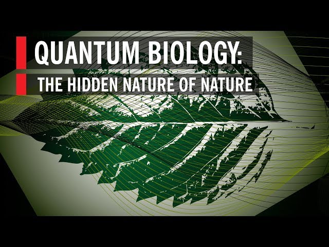 Quantum Biology: The Hidden Nature of Nature