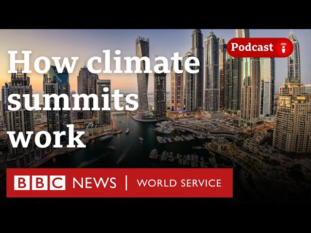 What is COP? - The Climate Question, BBC World Service