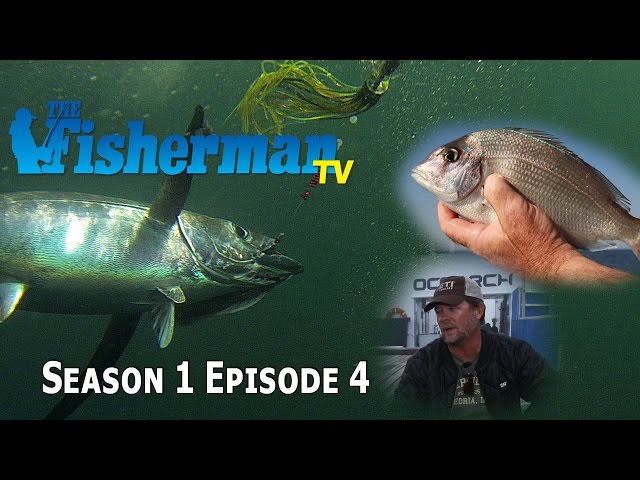 Fisherman TV Season 1 Episode 4, Shark Tagging, Tuna, Scup