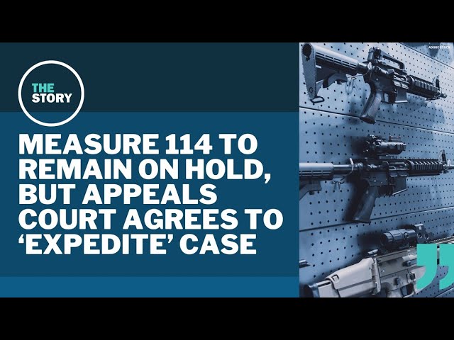 Appeals court decides against lifting block on Measure 114, but will speed up process