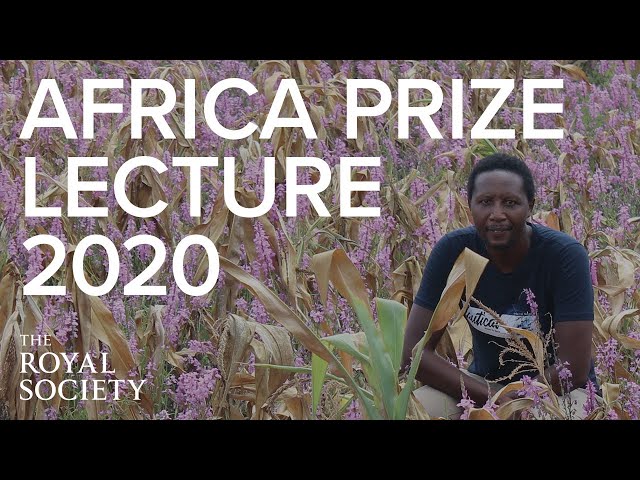How can African scientists help feed the Continent? | The Royal Society