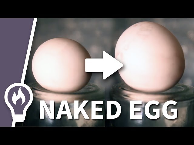 Expanding naked egg in a microwave
