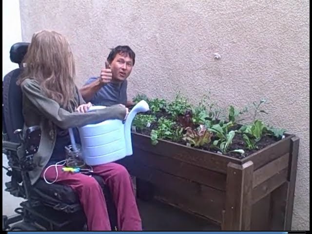 Accessible Wheelchair Elevated Raised Bed Container Garden from Start to Finish