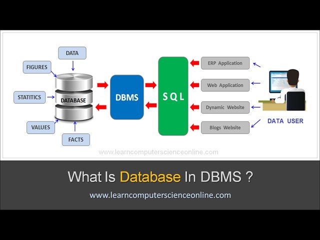 What Is Database ? | Beginners Introduction To Database In DBMS