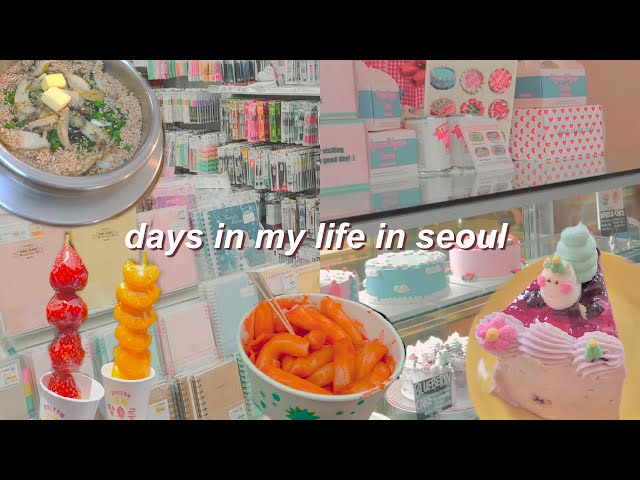 Days in my life in seoul 🇰🇷 college tour, ghibli cafe, & harvard internship