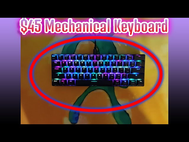 Best Budget Mechanical Keyboard? Motospeed CK61 from BZFuture Review and Sound Test!