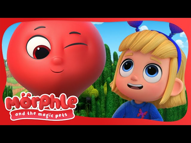 We had a Perfect Day | MORPHLE | Moonbug Kids | Available on Disney+ and Disney Jr