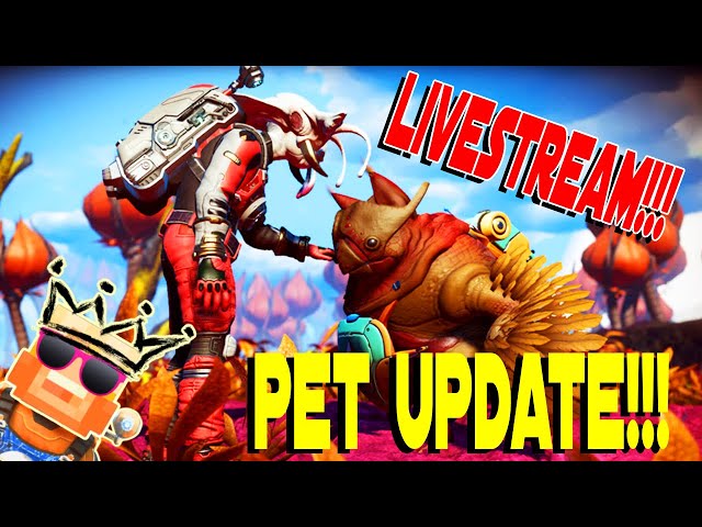 No Man's Sky Pet Update 2021: Companions Patch 3.2 Livestream