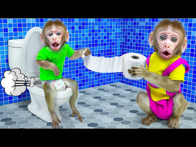 KiKi Monkey go to toilet help friend with toilet paper and swim with Ducklings | KUDO ANIMAL KIKI