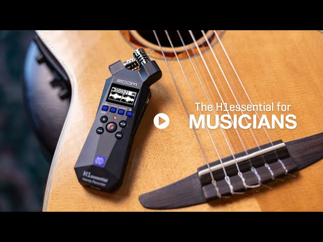 The H1essential : For Musicians