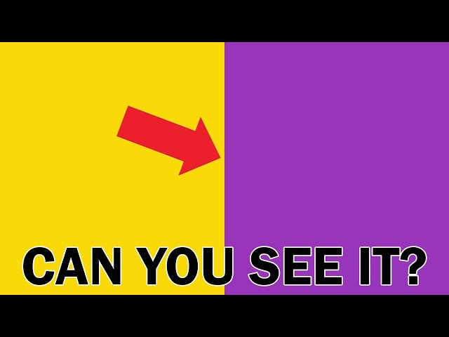 Only 12% of People Can See This!