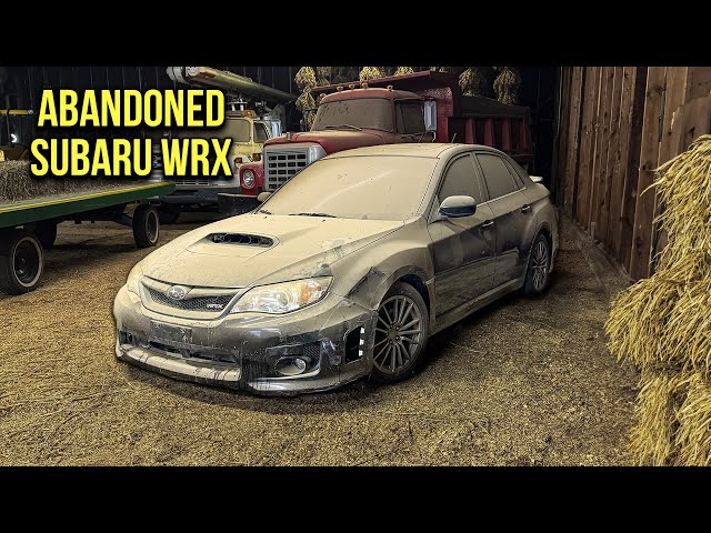 First Wash In 5 Years: Free ABANDONED Subaru WRX! Detailing and Surprising Best Friend!