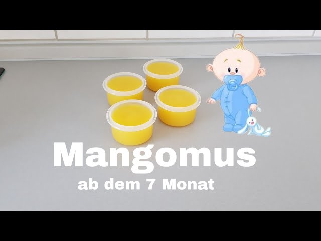 Mangomus ab dem 7 Monat,  Monsieur Cuisine Connect,  Thermomix, Abendbrei, Nachmitagsbrei, Beikost