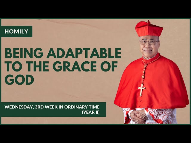 Being Adaptable To The Grace Of God - William Cardinal Goh (Homily - 24 Jan 2024)