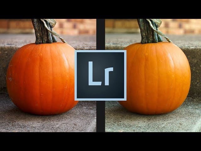 What you DON'T know about RAW image files :: Lightroom vs Capture One