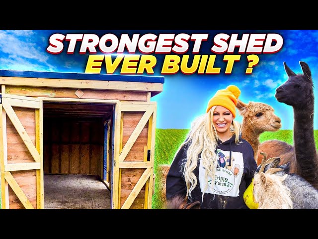 We Built The Strongest Hay Shed For Jodie Marsh