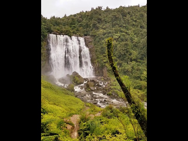 Marokopa Falls, NZ #shorts