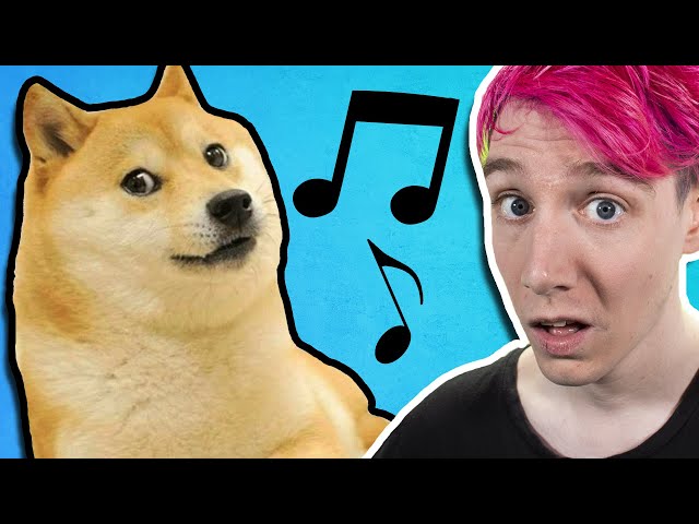 I Wrote A Meme Song About DOGS