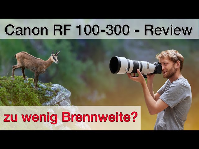 Canon RF 100-300mm f/2.8 - Erfahrungsbericht Tierfotografie (Review Deutsch)