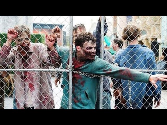 Survival of the Dead (2009) Film Explained in Hindi/Urdu | Deadly Zombies Story Summarized हिन्दी