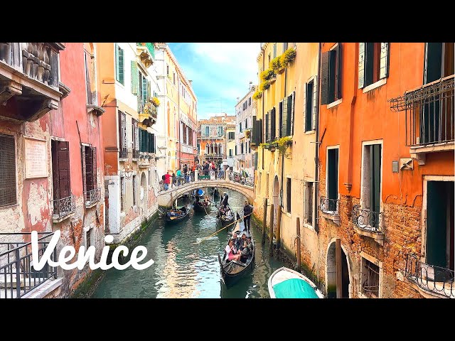 [4K] 🇮🇹 Venice, Italy :  Explore a labyrinthine City💗 Seafood dinner at La Piazza🍤🦑🍝 🍺2023