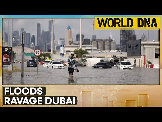 Dubai rain: Travel chaos in Dubai, floods turn Dubai airport into a lake | WION World DNA