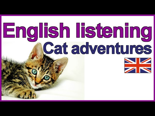 English listening exercise - Cat adventures