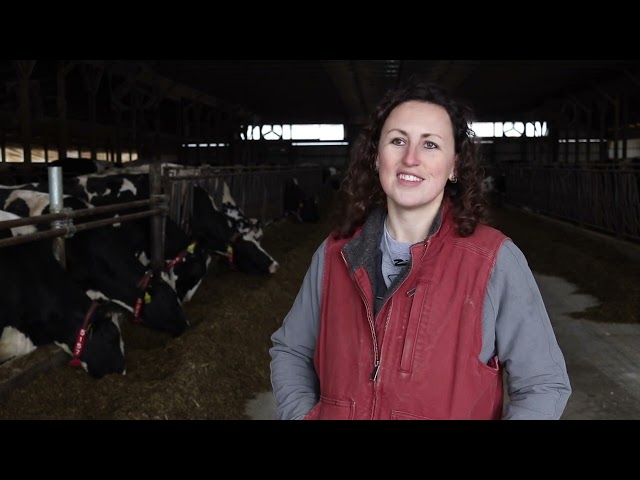 K&K Dairy Farms transitions from a parlor to robotic milking system