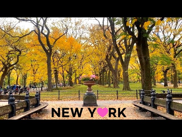 [4K]🇺🇸 NYC Walk: Central Park Fall Foliage🍁🍂/ Lunch at The Loeb Boathouse🍝☕ Nov. 2021