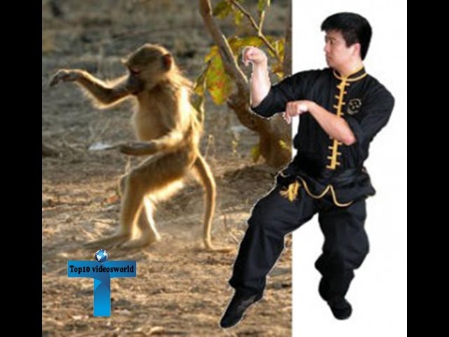 Top 10 Most Lethal Martial Arts In The World