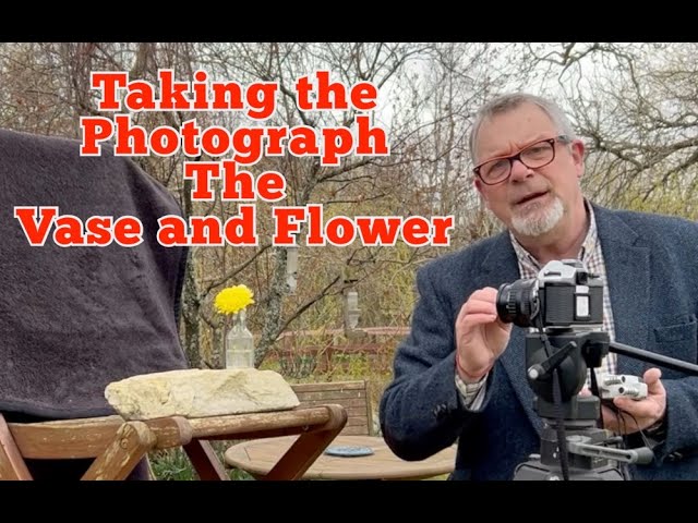Taking the Photograph  - The Vase and Flower
