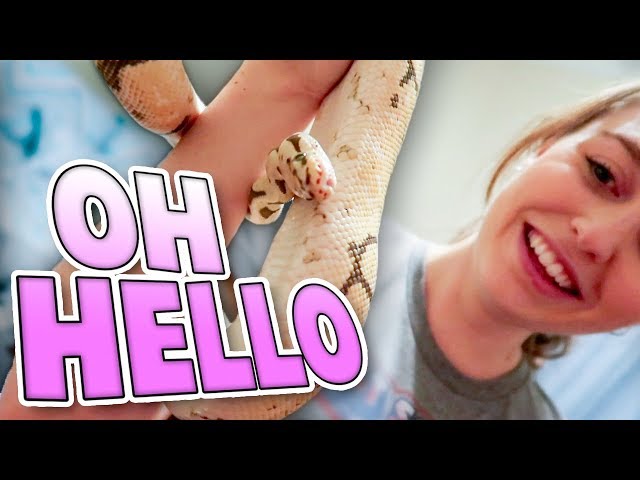 Goofiest Snake Ever! | Family Baby Vlogs