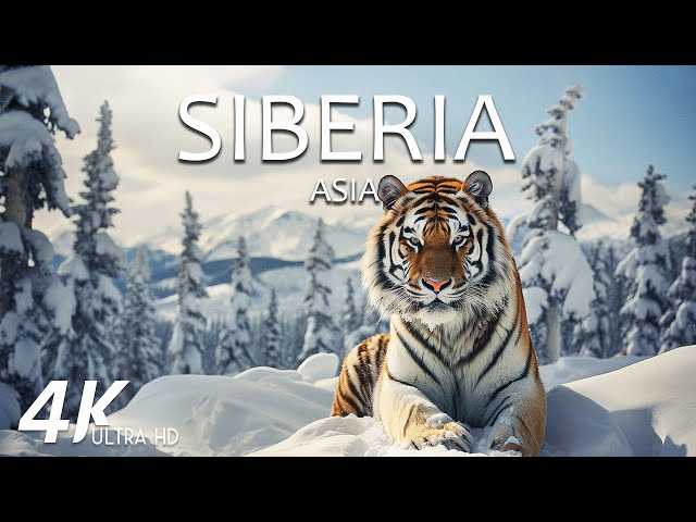 FLYING OVER SIBERIA (4K Video UHD) - Relaxing Music Along With Beautiful Nature Videos - 4K Video HD