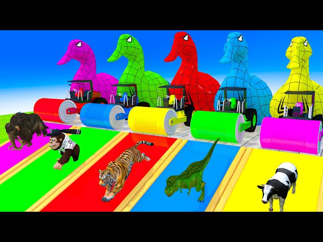 5 Giant Duck, Cow, Elephant, Tiger, Gorilla, Buffalo, Lion, Sheep, Transfiguration funny animal 2023