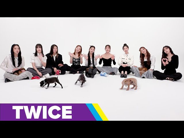 TWICE: The Puppy Interview