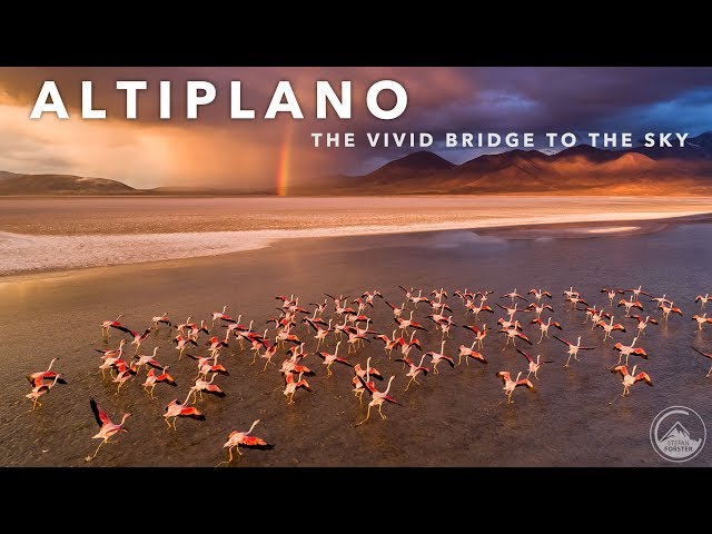THE ANDES - THE VIVID BRIDGE TO THE SKY 4K