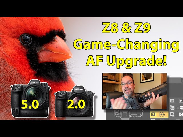 Nikon Z8 & Z9 Game Changing AF Update - And How To Use It!