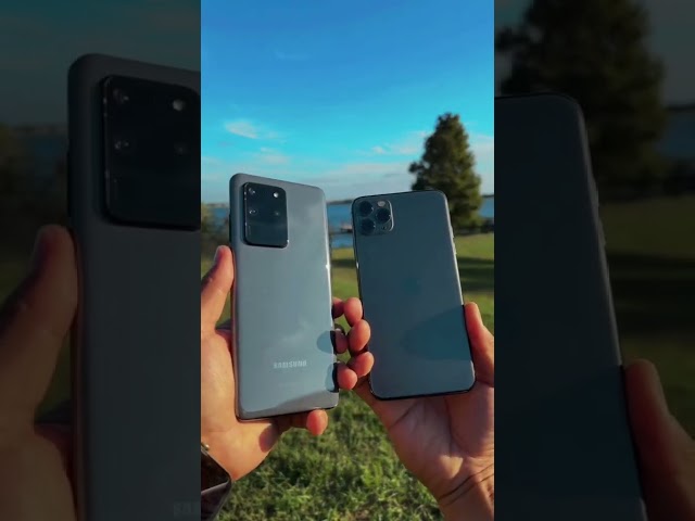 Samsung Galaxy vs iPhone Which one takes a better picture  #samsung #galaxy #iphone11