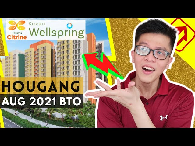 Hougang BTO Aug 2021 Review - Hougang Citrine & Kovan Wellspring Official Analysis