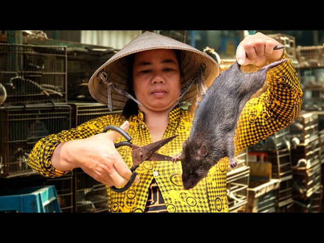 Surviving on RATS: This Mekong Village Makes Millions from Rats