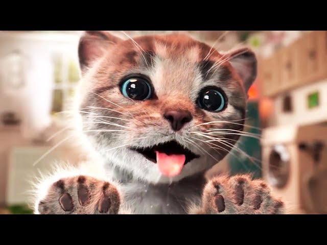 LITTLE KITTEN'S ADVENTURE cartoon funny video for kids cartoon about cats #MM