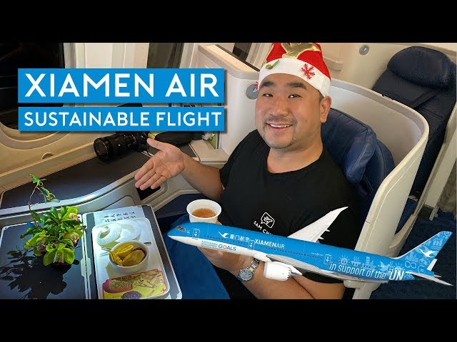 Xiamen Air's B787 Surprise Theme Flight