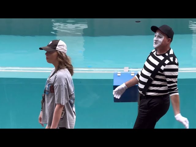 Enjoy a hilarious performance by Rob the mime | Seaworld Orlando