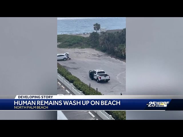Palm Beach County Sheriff’s Office: Human remains found on beach